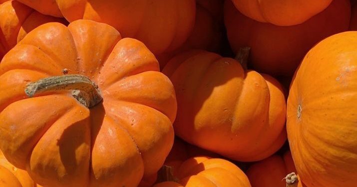 Cara Membuat Masakan Olahan Labu Kuning Enak, Cek Sekarang! Coba Bikin Sayur Beningq