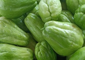 Konsumsi Labu Siam Ini Dapat Menangkal Radikal Bebas! Cek Manfaat Lainnya di Sini