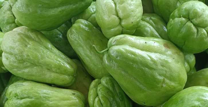 Konsumsi Labu Siam Ini Dapat Menangkal Radikal Bebas! Cek Manfaat Lainnya di Sini