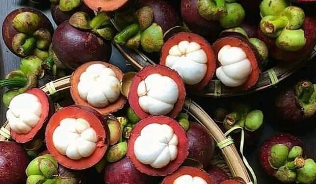 Ini Manfaat Makan Buah Manggis! Rutinkan Ampuh Menjaga Kesehatan Jantung