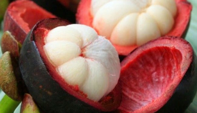 Manfaat Kulit Manggis yang Jarang Diketahui, Bisa Mengatasi Gejala Menstruasi