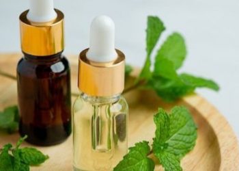 Auto Tikus Langsung Pergi, Cukup Pakai Bahan Alami Ini untuk Mengusirnya, Cek di Sini