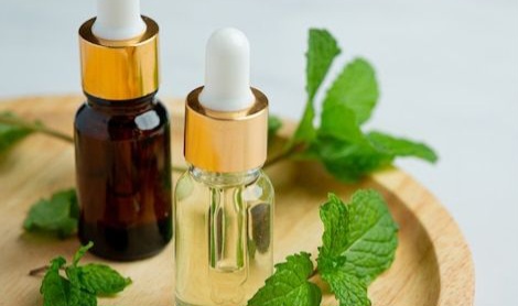 Auto Tikus Langsung Pergi, Cukup Pakai Bahan Alami Ini untuk Mengusirnya, Cek di Sini