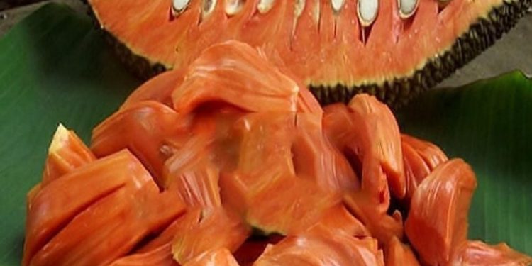 Jenis Buah Nangka yang Jarang Diketahui! Cek di Sini, Salah Satunya Nangka Merah