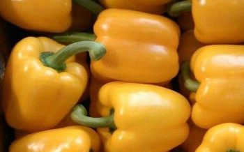 Cek Manfaat Lain Makan Paprika Kuning Sehari-hari! Dapat Menjaga Kesehatan Mata, Cukup Rutinkan