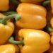 Cek Manfaat Lain Makan Paprika Kuning Sehari-hari! Dapat Menjaga Kesehatan Mata, Cukup Rutinkan