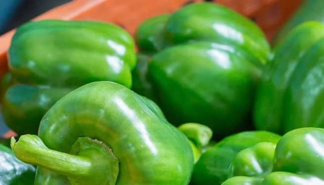 Cek Manfaat Paprika Hijau di Sini! Ampuh Mencegah Diabetes, Baik untuk Kesehatan