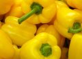 Cek Sekarang! Perlu Hati-hati Konsumsi Paprika Kuning, Bisa Sebabkan Gangguan Pencernaan