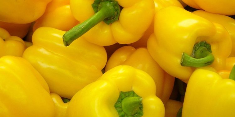 Cek Sekarang! Perlu Hati-hati Konsumsi Paprika Kuning, Bisa Sebabkan Gangguan Pencernaan