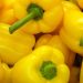 Cek Sekarang! Perlu Hati-hati Konsumsi Paprika Kuning, Bisa Sebabkan Gangguan Pencernaan