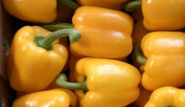 Cek Manfaat Lain Makan Paprika Kuning Sehari-hari! Dapat Menjaga Kesehatan Mata, Cukup Rutinkan