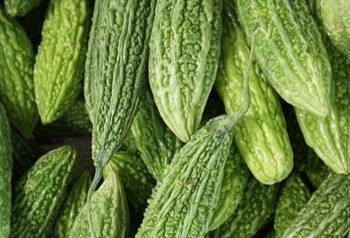 Punya Kandungan Vitamin C, Pare Dapat Meredakan Gangguan Pernapasan, Cek Manfaatnya