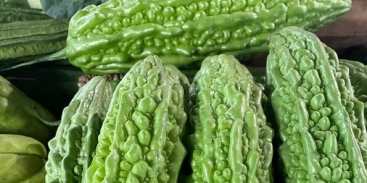 Konsumsi Pare Berlebihan Bisa Keracunan, Cek Efek Samping Lainnya di Sini