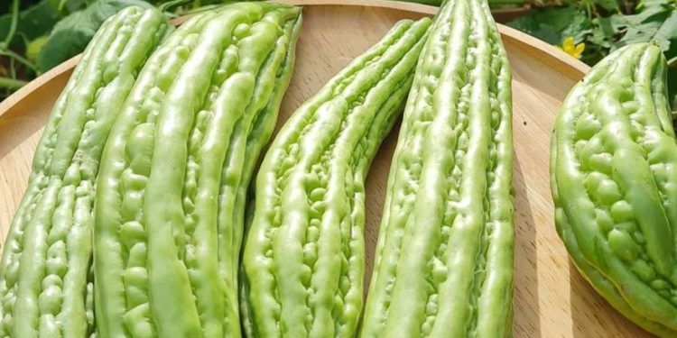 Manfaat Pare untuk Perawatan Kulit, Dapat Mencegah Jerawat, Cek di Sini!