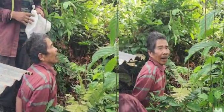 Dua Hari Buron, Pelaku Pembunuhan Anak Tiri di Bengkulu Tengah Ditangkap di Kebun Sawit