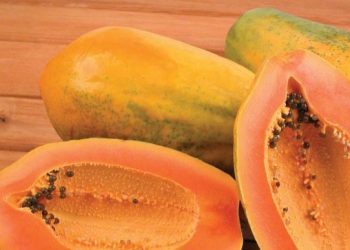 Makanan Ini Dapat Melancarkan BAB, Cek di Sini! Cukup Konsumsi Sesuai Kebutuhan