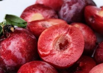 Buah Plum Ampuh Mencerahkan Kulit Wajah, Cek Manfaat Lainnya di Sini