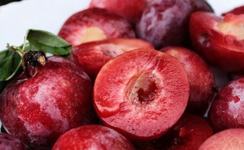 Buah Plum Ampuh Mencerahkan Kulit Wajah, Cek Manfaat Lainnya di Sini