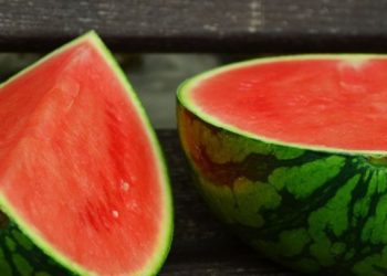 Cara Membuat Camilan Enak dari Buah Semangka, Cek di Sini!