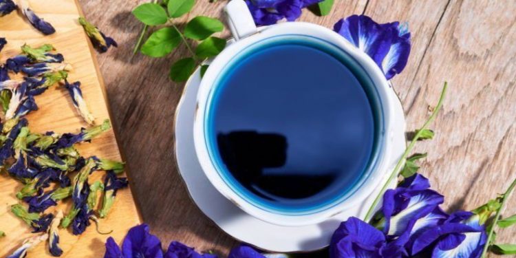 Klaim Manfaat Teh Bunga Telang, Dapat Menurunkan Kadar Gula Darah, Cek Sekarang