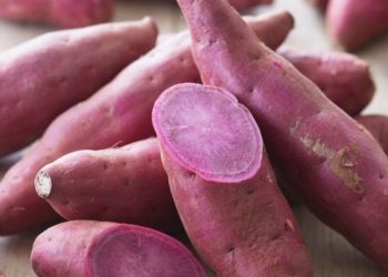 Manfaat Konsumsi Ubi Ungu yang Jarang Diketahui, Ampuh Meredakan Gejala Asma, Cek di Sini