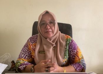 Optimalkan Lahan Sawah, Bengkulu Selatan Dorong Pola Tanam 3 Kali per Tahun