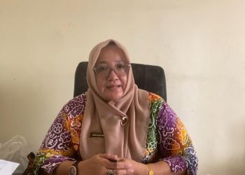 Cuaca Buruk Berdampak pada Tanaman Jagung, Dinas Pertanian Bengkulu Selatan Imbau Petani Waspada
