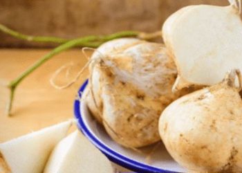 Klaim Manfaat dari Buah Bengkoang Ini! Dapat Menyegarkan Kulit, Auto Makin Terawat Alami