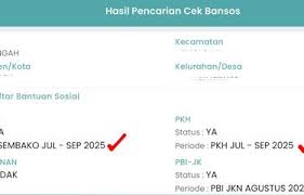 Ini Link Resmi Cek Penerima BLT Kesra, Cukup Siapkan KTP Sebagai Identitas Diri