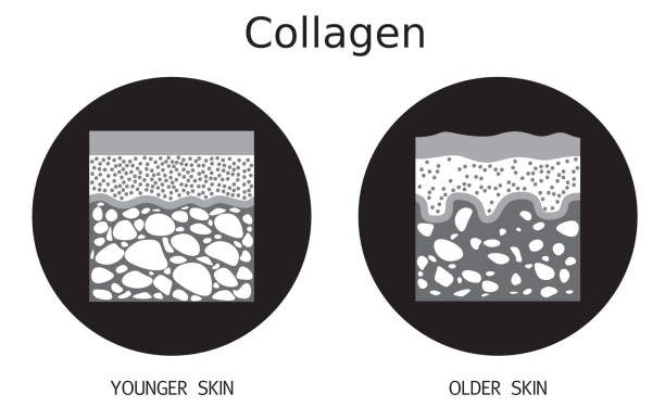 Bahaya Nih! Kenali Segudang Dampak Buruk Jika Tubuh Kekurangan Kolagen