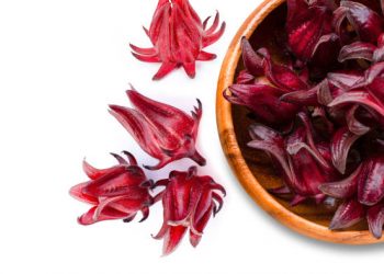 Ada Segudang Tawaran Manfaat Bunga Rosella untuk Kecantikan, Cek Disini!