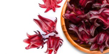 Ada Segudang Tawaran Manfaat Bunga Rosella untuk Kecantikan, Cek Disini!