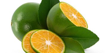 Cukup Dijadikan Sebagai Masker, Ini Dia Manfaat Istimewa Jeruk Kalamansi untuk Dunia Kecantikan