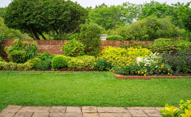 Ayo Tanam 6 Jenis Tumbuhan ini di Rumahmu, Dipercaya Bisa Membawa Keburuntungan