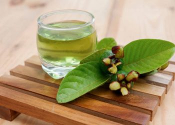 Tidak Selalu Baik! Berikut Sederet Efek Samping Konsumsi Daun Jambu Biji Berlebihan