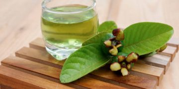 Tidak Selalu Baik! Berikut Sederet Efek Samping Konsumsi Daun Jambu Biji Berlebihan