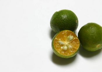 Jeruk Kalamansi Tawarkan Segudang Manfaat Terbaik untuk Kesehatan, Baik Bagi Lambung hingga Saluran Pernapasan