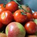 Ini Dia Tawaran Manfaat Tomat Apel untuk Kesehatan, Bikin Mata hingga Jantung Lebih Sehat