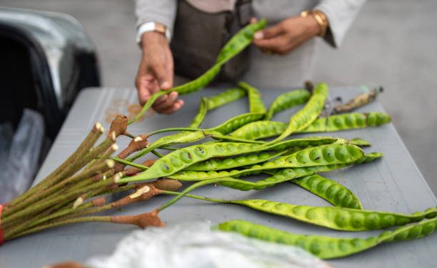 Kenali 5 Jenis Petai yang Ada di Indonesia, Kamu Suka yang Mana?