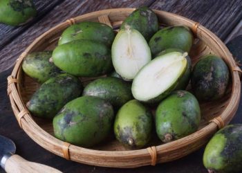 Kaya Akan Kandungan Serat, Inilah 7 Manfaat Tersembunyi Buah Kedondong untuk Kesehatan