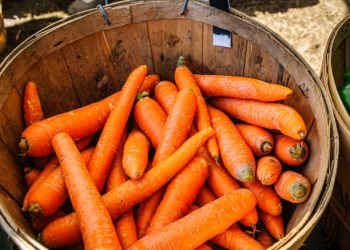 Terkenal Akan Kandungan Vitamin A yang Tinggi, Ini Dia Manfaat Konsumsi Wortel Bagi Kesehatan