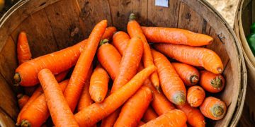 Terkenal Akan Kandungan Vitamin A yang Tinggi, Ini Dia Manfaat Konsumsi Wortel Bagi Kesehatan