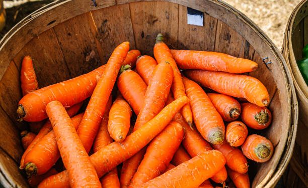 Terkenal Akan Kandungan Vitamin A yang Tinggi, Ini Dia Manfaat Konsumsi Wortel Bagi Kesehatan