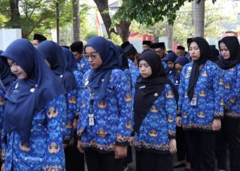 Tidak Semua Honorer! Ini 3 Kriteria yang Diangkat dan Dapat SK PPPK Paruh Waktu