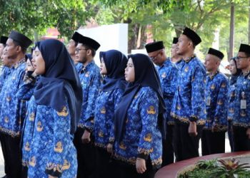 Apa Itu Zero Growth? Wajib Pahami Sebelum Daftar CPNS 2026