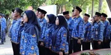 Apa Itu Zero Growth? Wajib Pahami Sebelum Daftar CPNS 2026