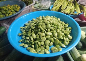 Sebabkan Bau Mulut hingga Asam Urat, Cek 5 Efek Samping Konsumsi Petai Berlebihan