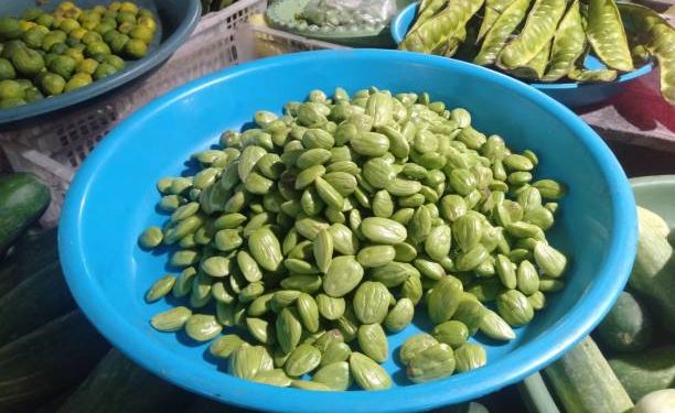 Sebabkan Bau Mulut hingga Asam Urat, Cek 5 Efek Samping Konsumsi Petai Berlebihan