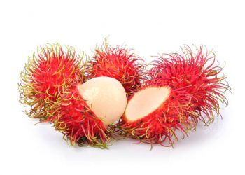 Inilah 5 Khasiat Kulit Rambutan untuk Kesehatan, Terutama Ampuh Lawan Sel Kanker