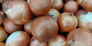 Tak Banyak yang Tahu! Ternyata Ini Manfaat Bawang Bombay untuk Kesehatan